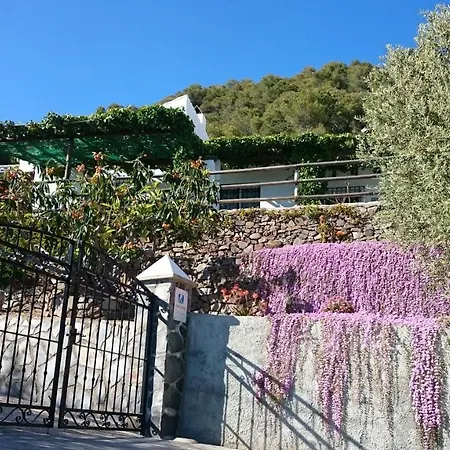 Molina * Frigiliana